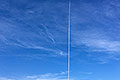 bild016