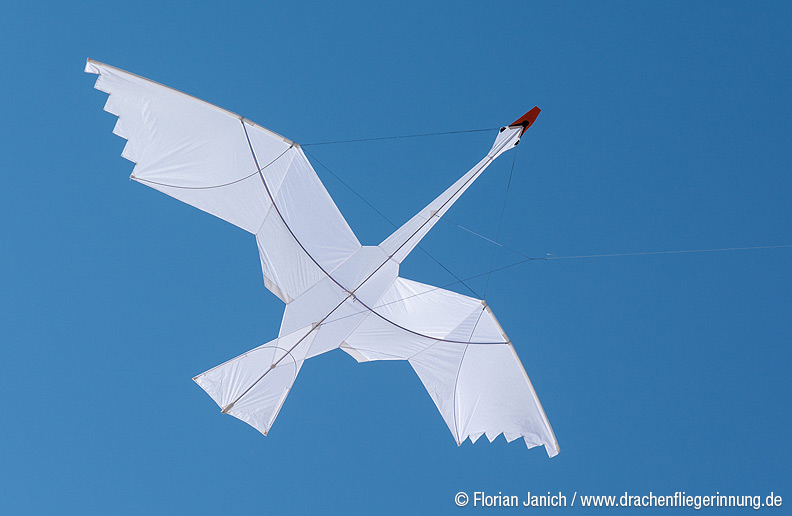 bild009