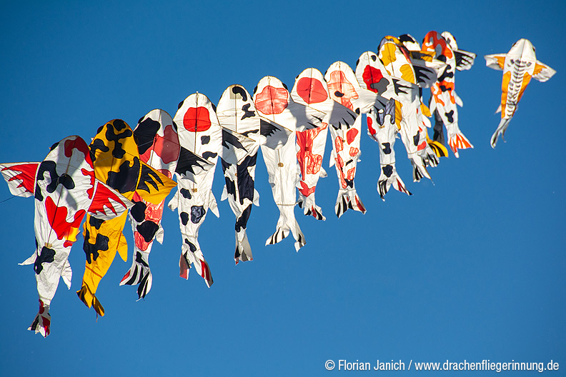bild128