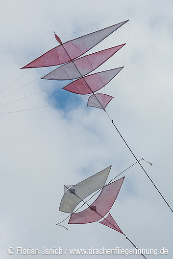 bild195