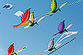 bild008