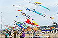 bild031