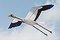 bild064