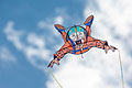 bild102