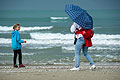 bild105