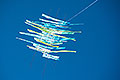 bild127