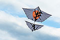 bild162