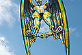 bild221