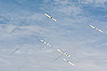 bild223