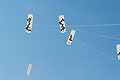 bild224