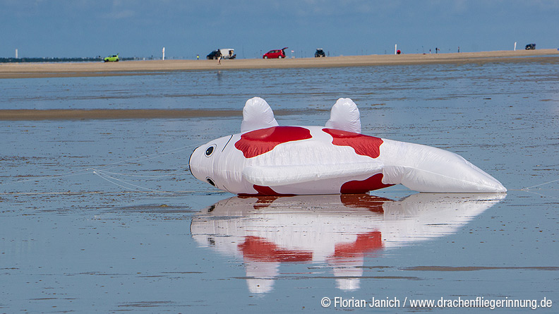 bild037