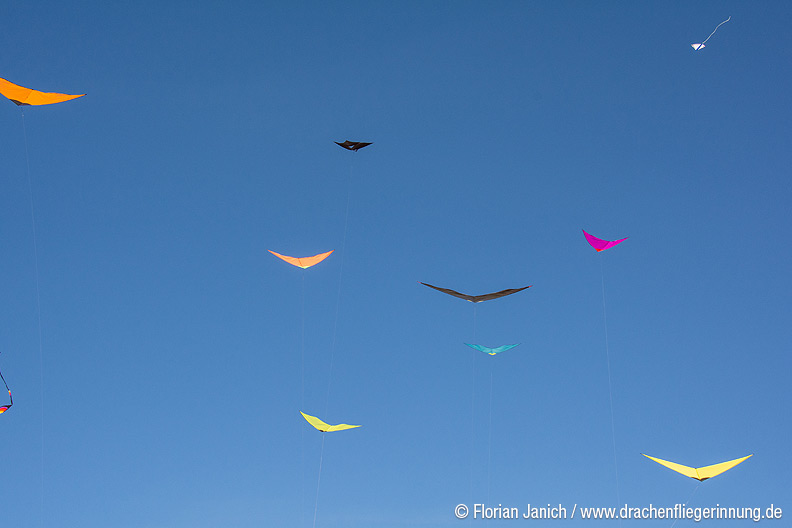 bild056
