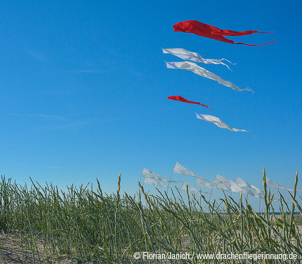 bild079