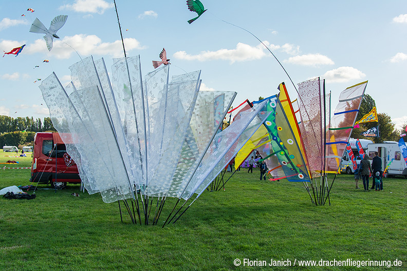 bild011