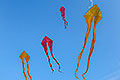 bild042