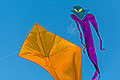 bild047