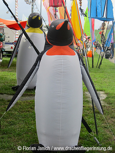 bild005