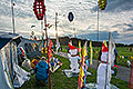 bild019