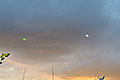 bild020