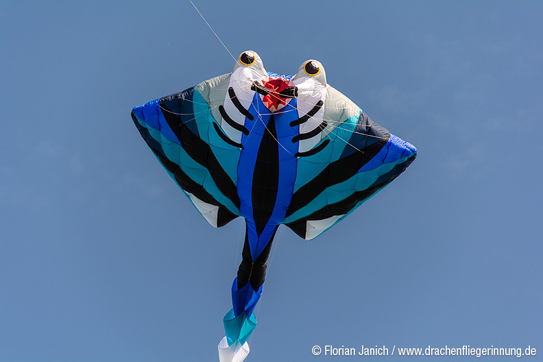 bild026