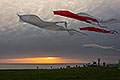 bild005