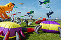 bild008