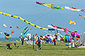 bild010
