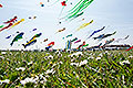bild016