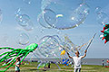 bild019