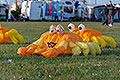 bild022