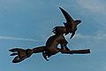 bild025