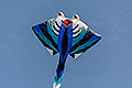 bild026