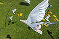 bild039