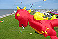 bild041