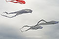 bild059