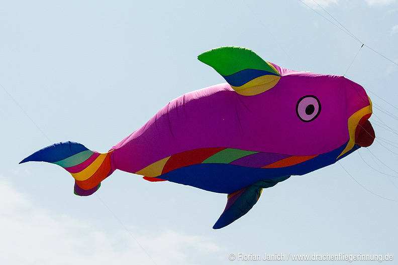 bild058