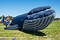 bild010