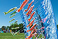 bild013