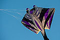bild036