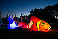bild048