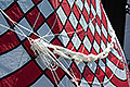bild054