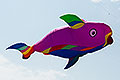 bild058