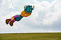 bild016