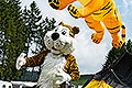 bild019