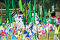 bild021