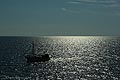 bild025