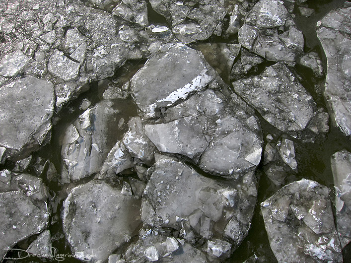 bild005