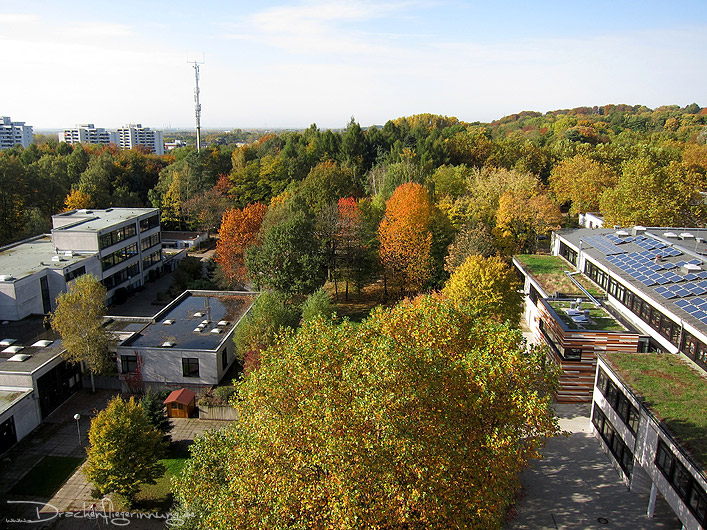 bild008