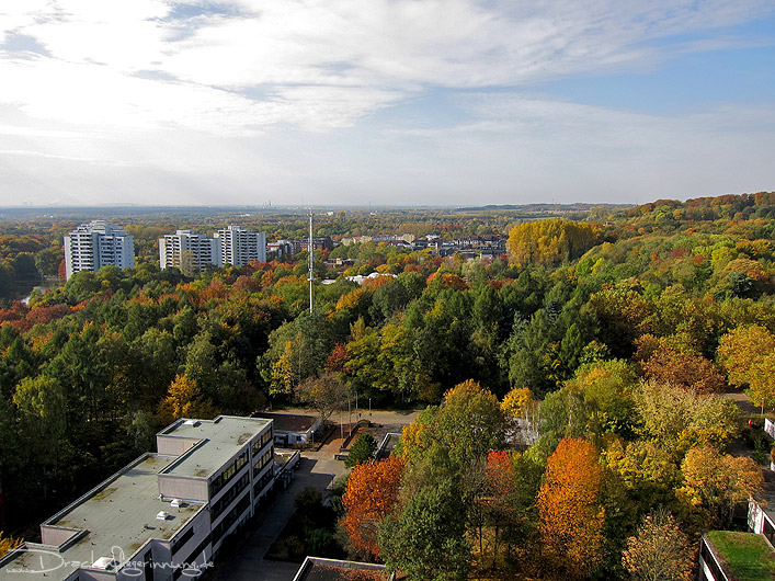 bild016
