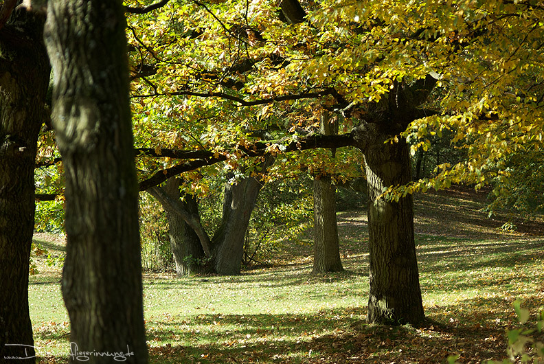 bild017